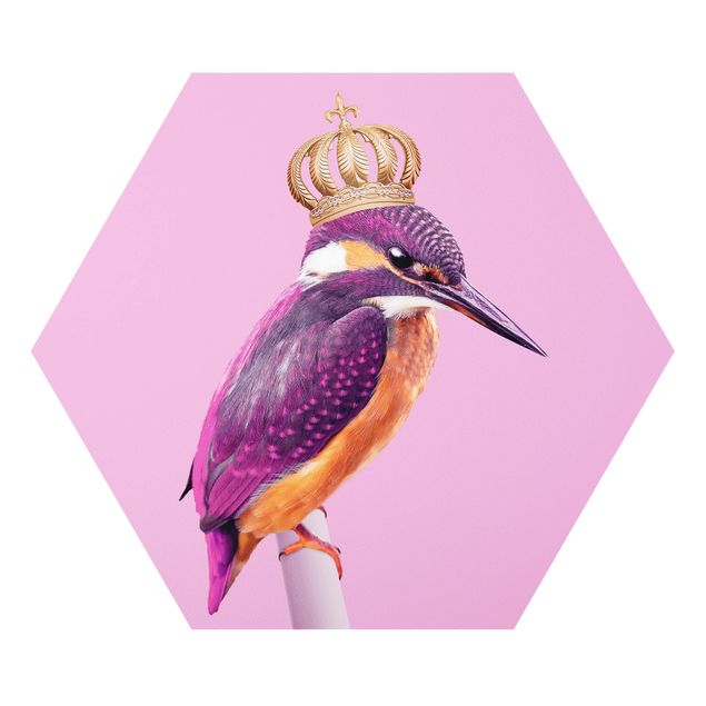 Hexagon Bild Forex - Jonas Loose - Rosa Eisvogel mit Krone