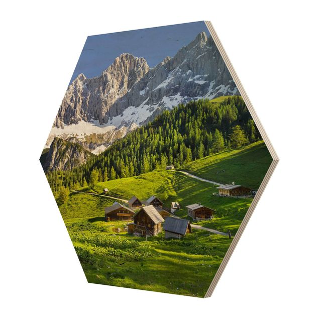 Hexagon Bild Holz - Steiermark Almwiese