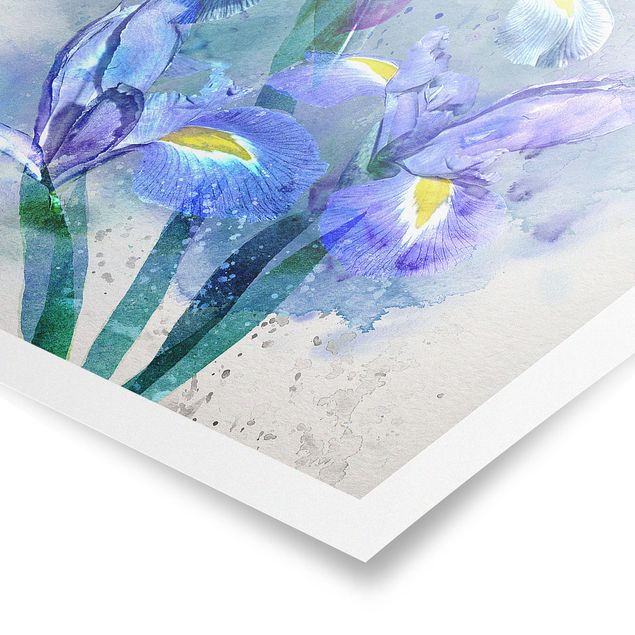 Poster - Aquarell Blumen Iris - Hochformat 3:4