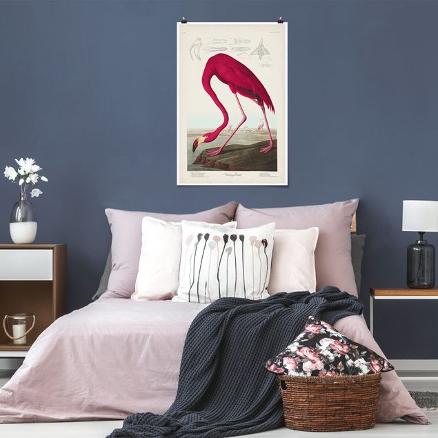 Blumen Poster Vintage Lehrtafel Amerikanischer Flamingo