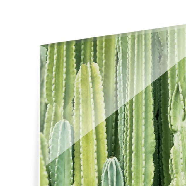 Glas Spritzschutz - Kaktus Wand - Quadrat - 1:1