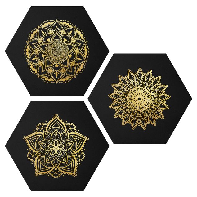 Hexagon Bild Forex 3-teilig - Mandala Blüte Sonne Illustration Set Schwarz Gold