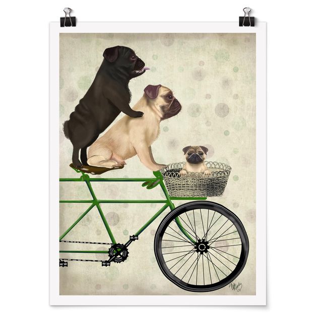 Kunstdrucke Poster Radtour - Möpse auf Fahrrad