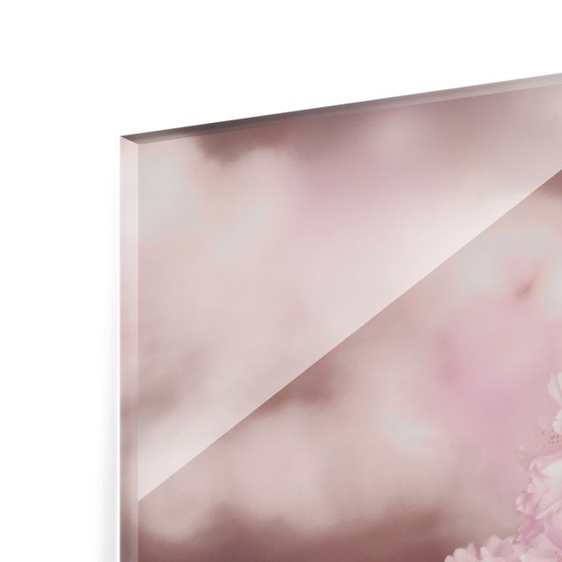 Spritzschutz Glas - Kirschblüte im Violetten Licht - Querformat 4:3