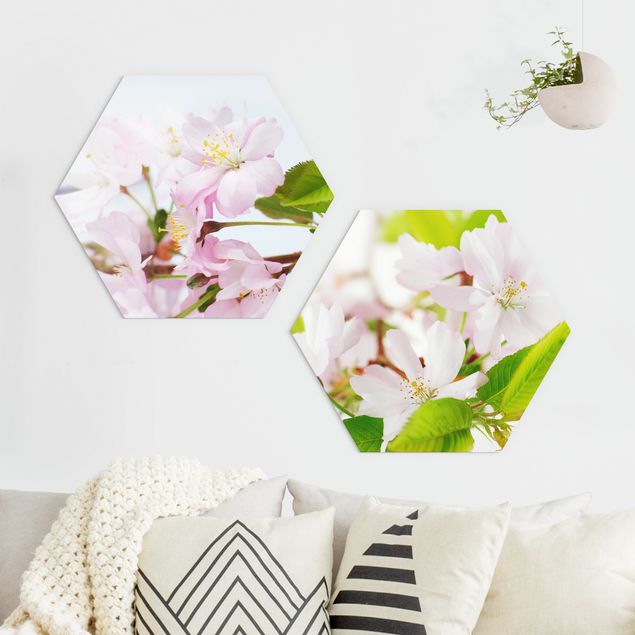 Forex Bilder Zierkirsche mit Blüten