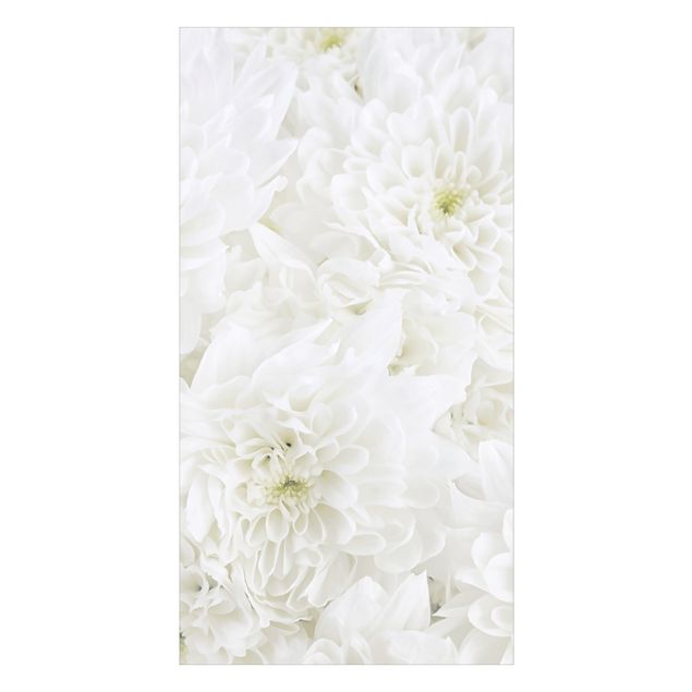 Dusch Rückwände Dahlien Blumenmeer weiß