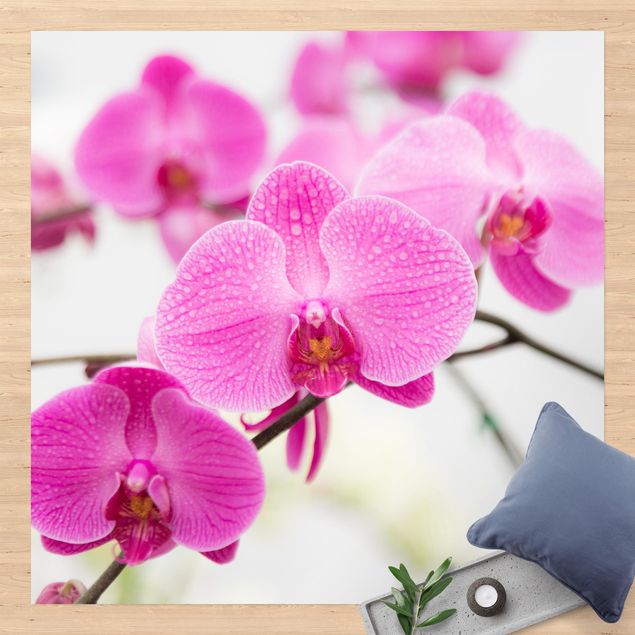 Outdoor Teppich Nahaufnahme Orchidee