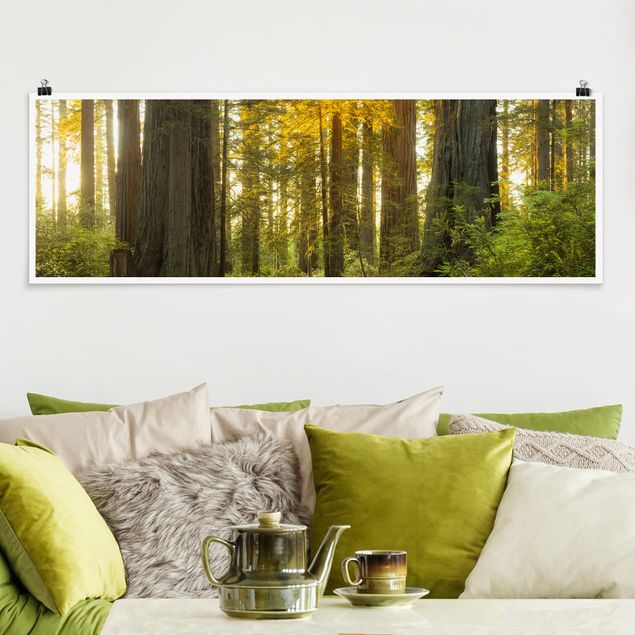 Poster Landschaft Redwood National Park