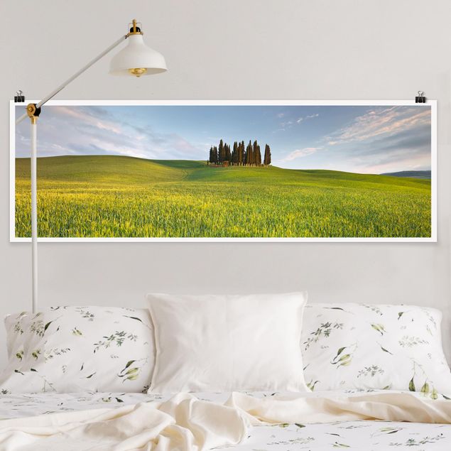Grünes Feld in Toskana Poster im Panoramaformat | Bilderwelten