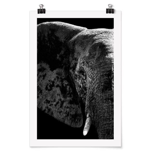 Philippe Hugonnard Afrikanischer Elefant schwarz-weiß