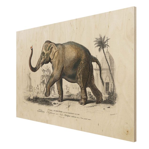 Moderne Holzbilder Vintage Lehrtafel Elefant