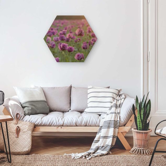Moderne Holzbilder Violette Schlafmohn Blumenwiese im Frühling