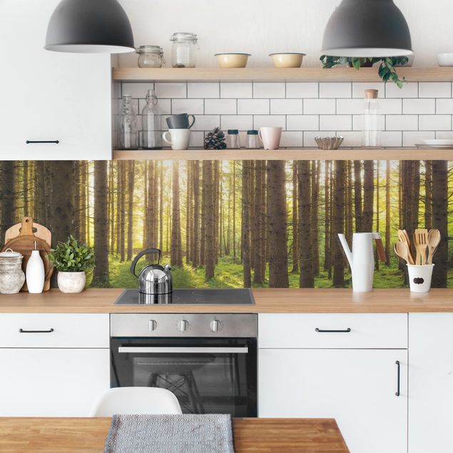 Küchenrückwand Glas Motiv Wald Sonnenstrahlen in grünem Wald