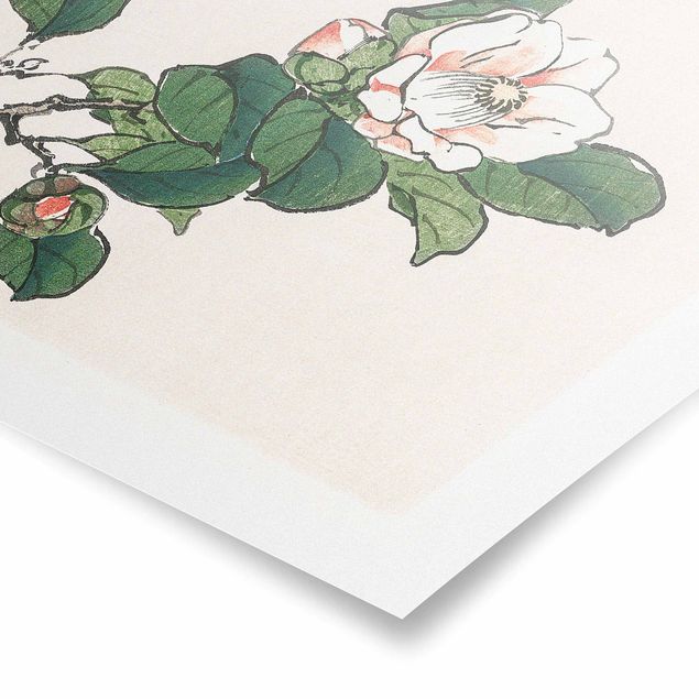 Poster bestellen Asiatische Vintage Zeichnung Apfelblüte
