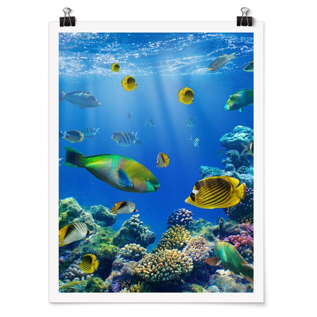 Strand Poster Underwater Lights