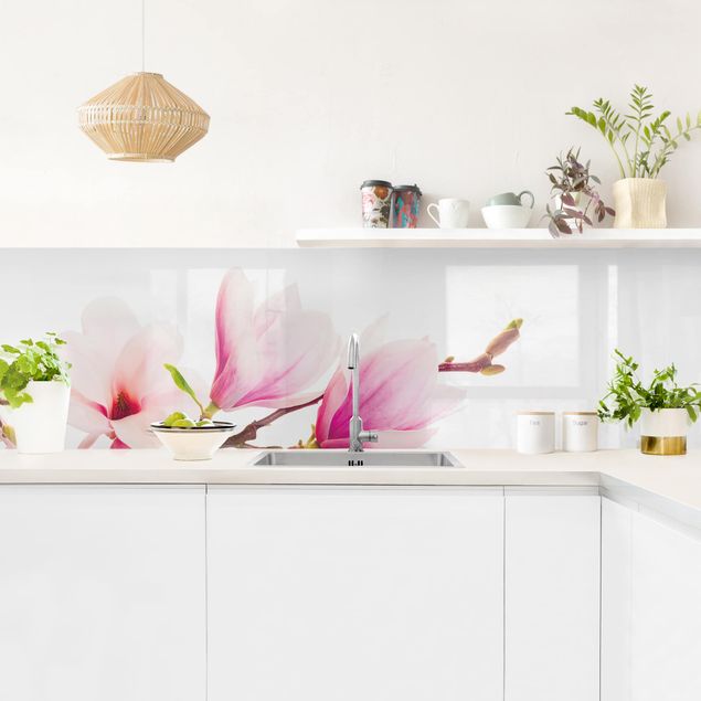 Küchenrückwand Glas Blumen Zarter Magnolienzweig