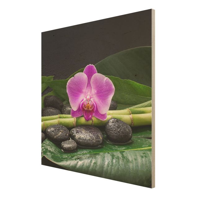 Bilder auf Holz Grüner Bambus mit Orchideenblüte