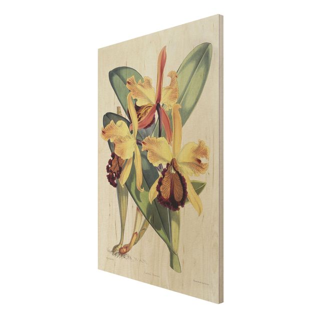 Moderne Holzbilder Walter Hood Fitch - Orchidee