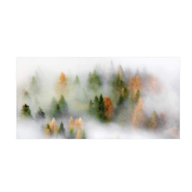 Teppich Wald Nebelwald im Herbst
