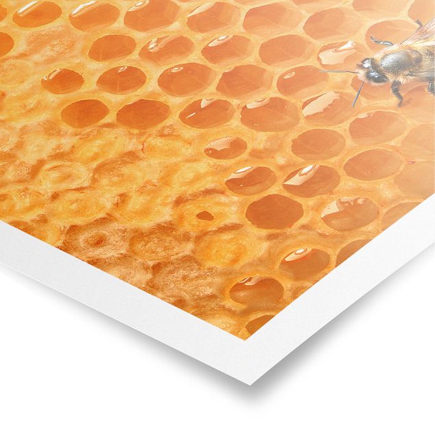 Poster - Honey Bee - Quadrat 1:1