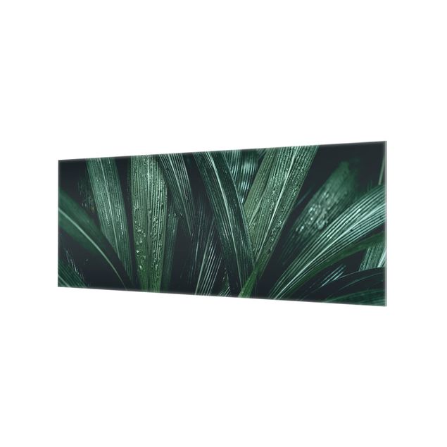 Spritzschutz Glas - Grüne Palmenblätter - Panorama - 5:2