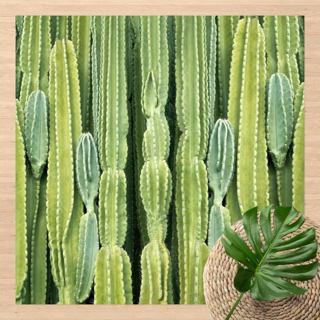 outdoor-teppich wetterfest Kaktus Wand