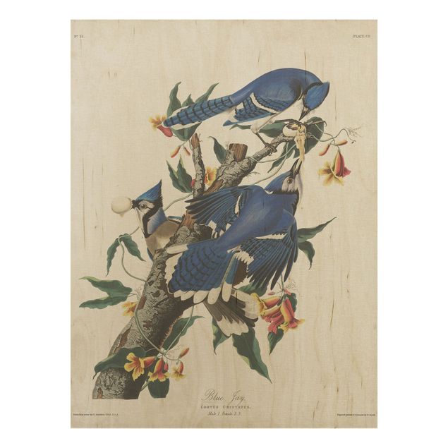 Holzbilder mit Blumen Vintage Lehrtafel Blauer Häher