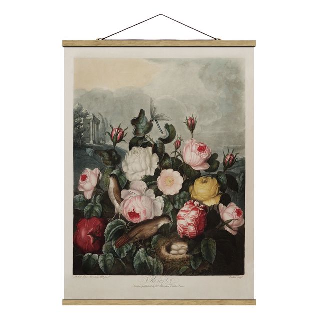 Stoffbild mit Posterleisten - Botanik Vintage Illustration Rosen - Hochformat 3:4