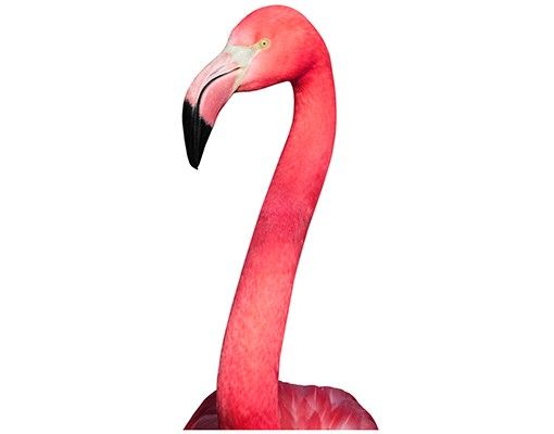 Fensterbild Tiere Neugieriger Flamingo