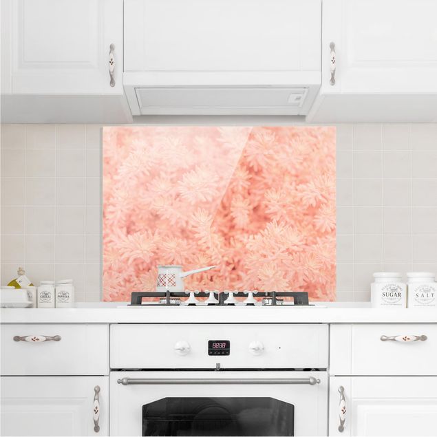 Küchenrückwand Glas Motiv Blumen Rosmarin Rosa