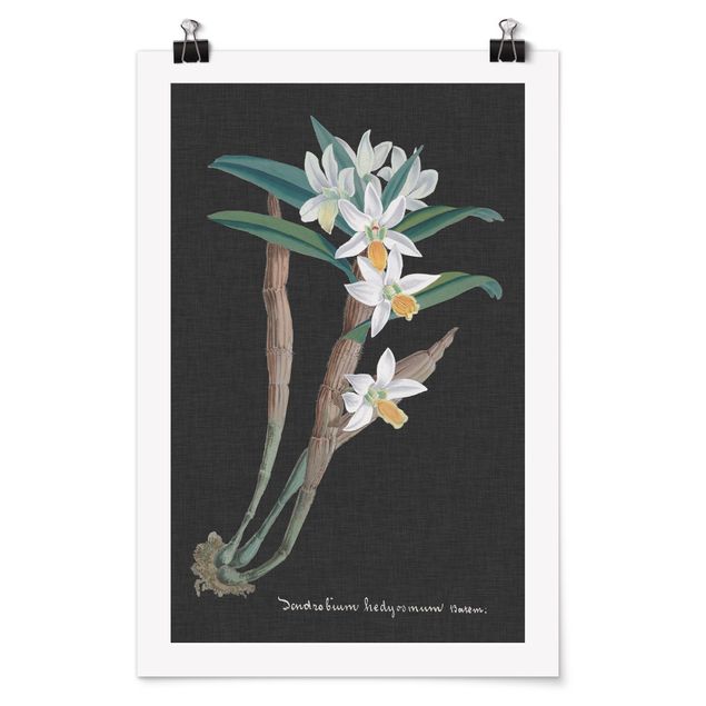 Poster bestellen Weiße Orchidee auf Leinen I