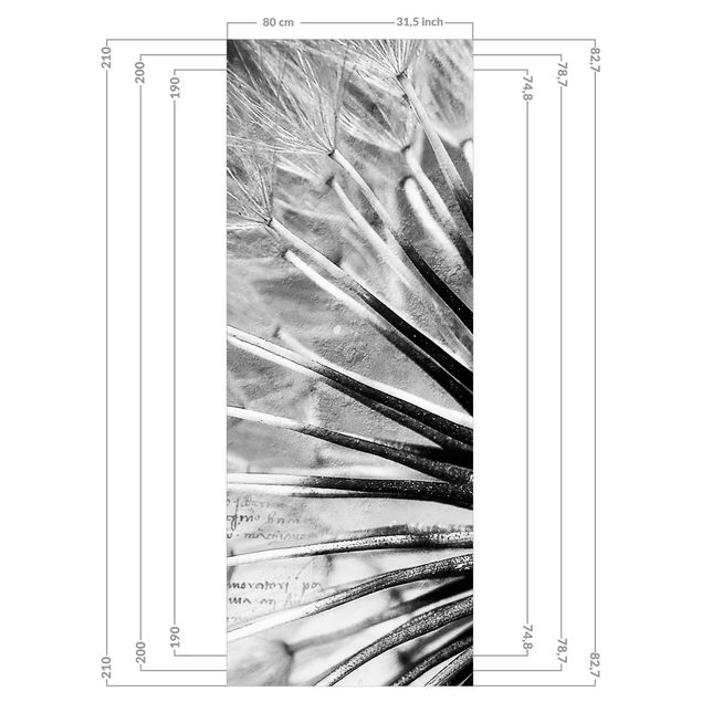 Duschrückwand - Pusteblume Schwarz & Weiß