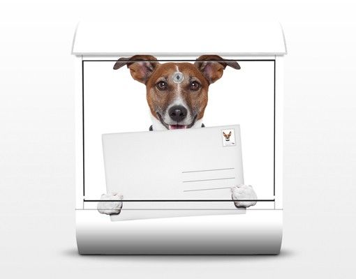 Briefkasten weiß Hund mit Brief