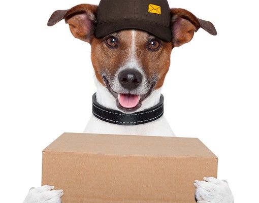 Briefkasten mit Zeitungsfach - Hund mit Paket - Briefkasten mit Tiermotiv