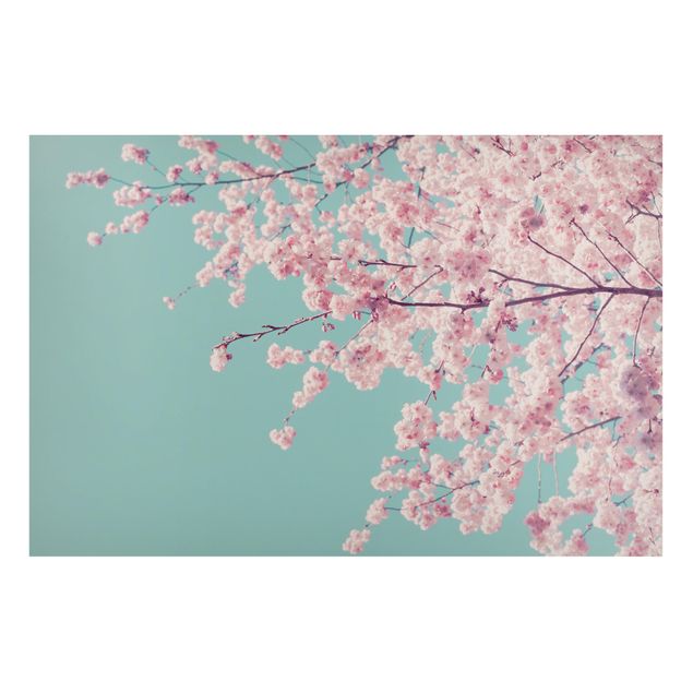 Magnettafel Blumen Japanische Kirschblüte