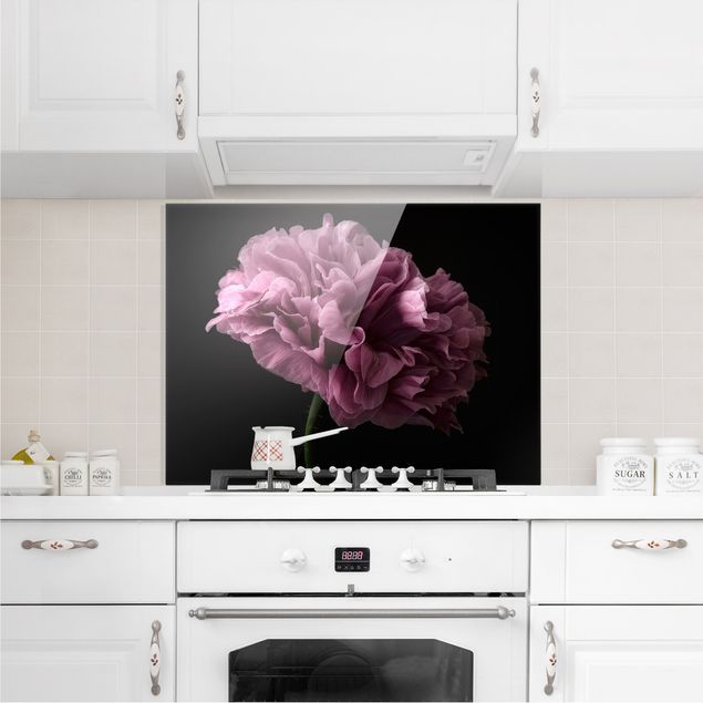 Küchenrückwand Glas Motiv Blumen Stolze Pfingstrose vor Schwarz