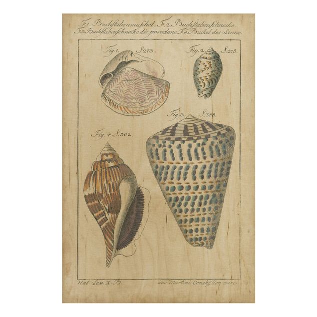 Maritime Bilder auf Holz Vintage Muschel Zeichnung Bunte Muster