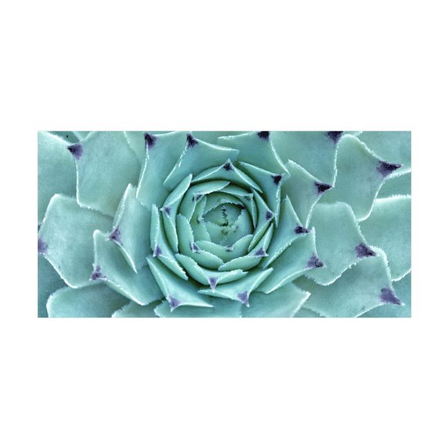Teppich Blumen Kaktus Agave