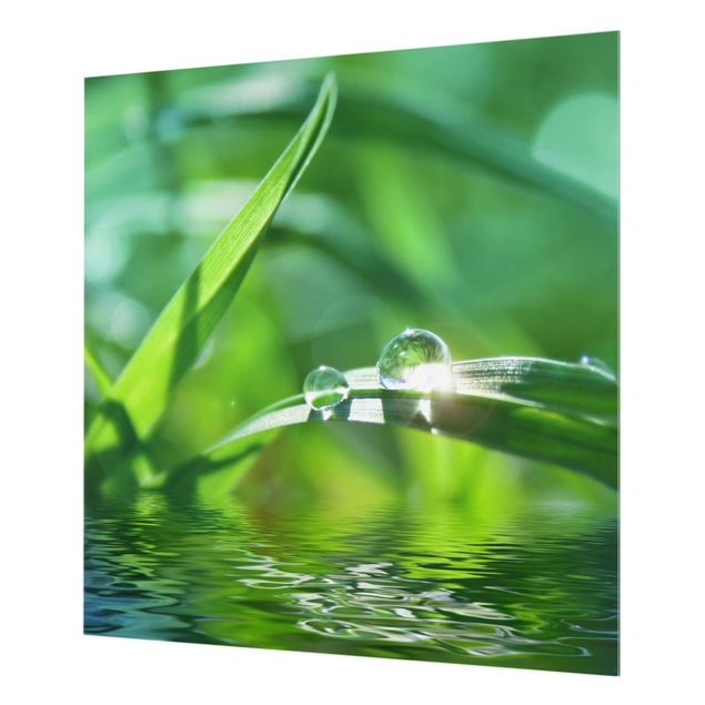 Glas Spritzschutz - Green Ambiance II - Quadrat - 1:1