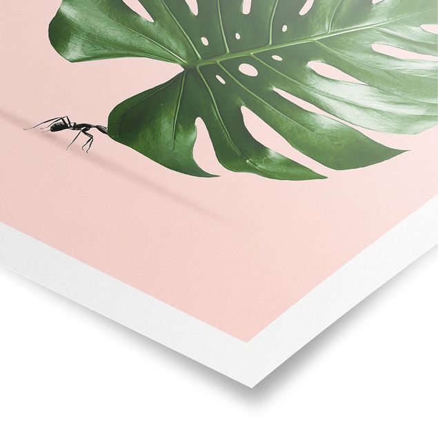 Tiere Poster Ameise mit Monstera Blatt
