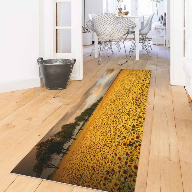 Balkon Teppich Feld mit Sonnenblumen