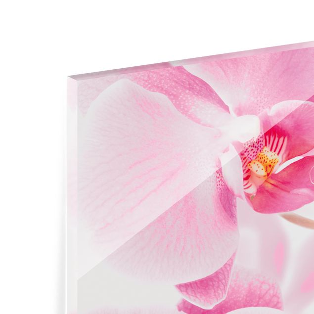 Spritzschutz Glas - Delicate Orchids - Panorama - 5:2