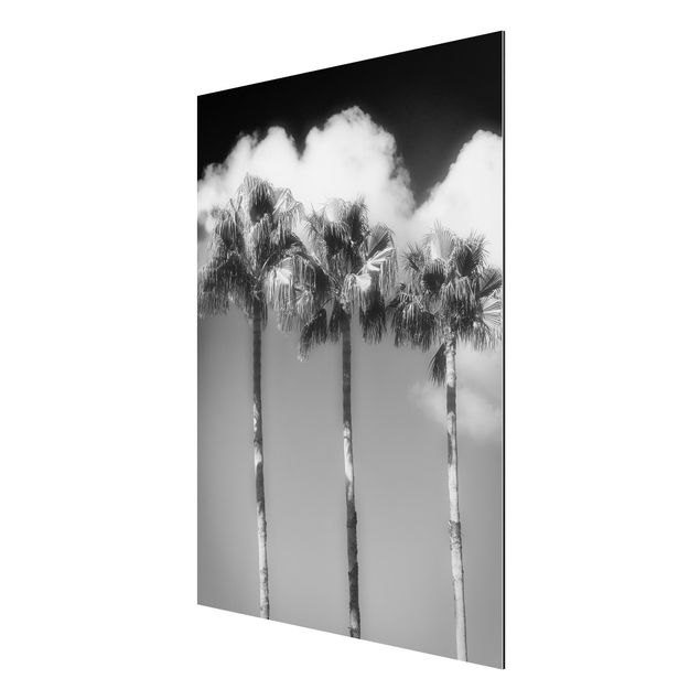 Aluminium Print gebürstet - Palmen vor Himmel Schwarz-Weiß - Hochformat 4:3