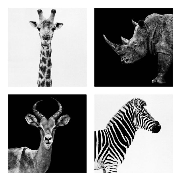 Leinwandbild 4-teilig - Safari Quartett