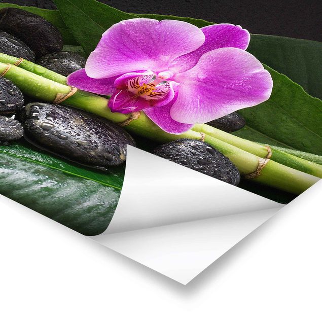 Poster - Grüner Bambus mit Orchideenblüte - Quadrat 1:1