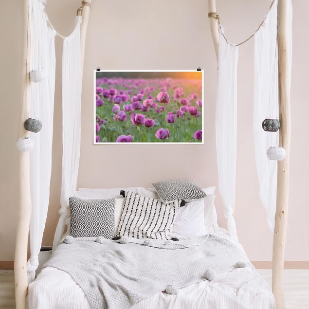 Poster bestellen Violette Schlafmohn Blumenwiese im Frühling