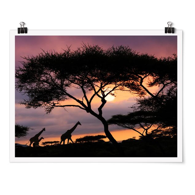Poster - Safari in Afrika - Querformat 3:4