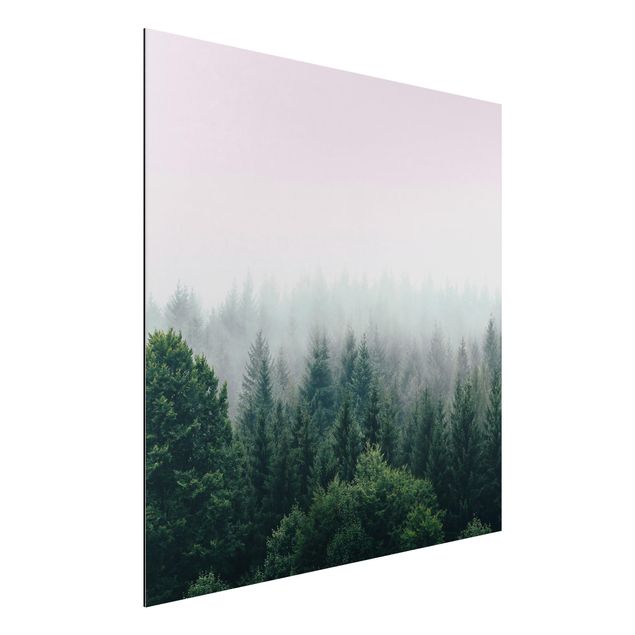 Bilder für die Wand Wald im Nebel Dämmerung
