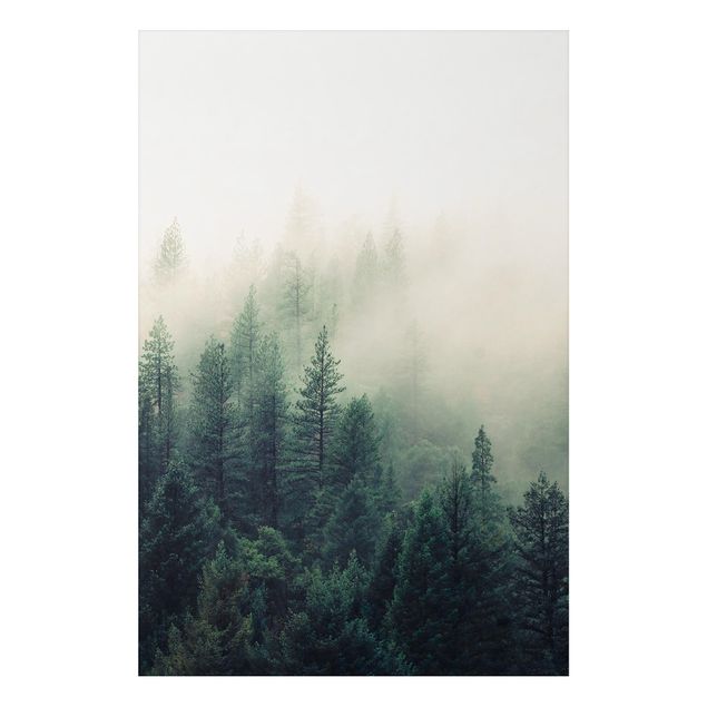 Alu Dibond Druck Wald im Nebel Erwachen