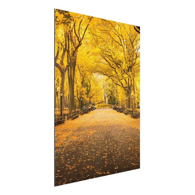 Schöne Wandbilder Herbst im Central Park
